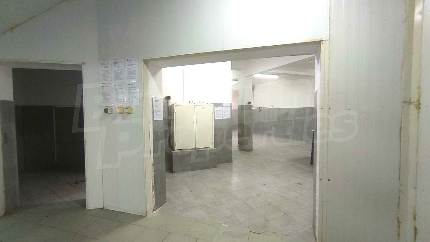 Gallery Picture 2