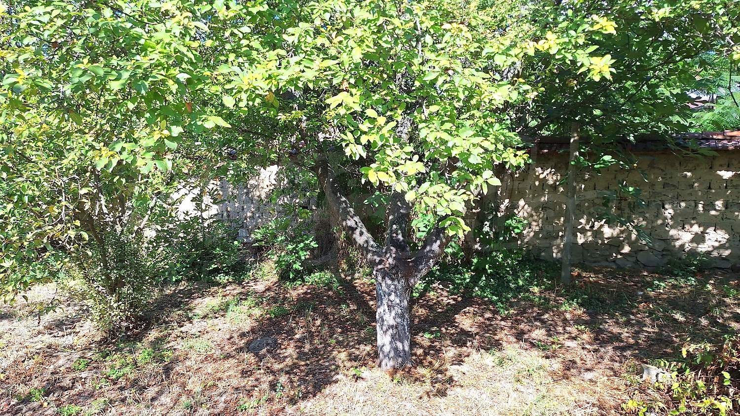Gallery Picture 22