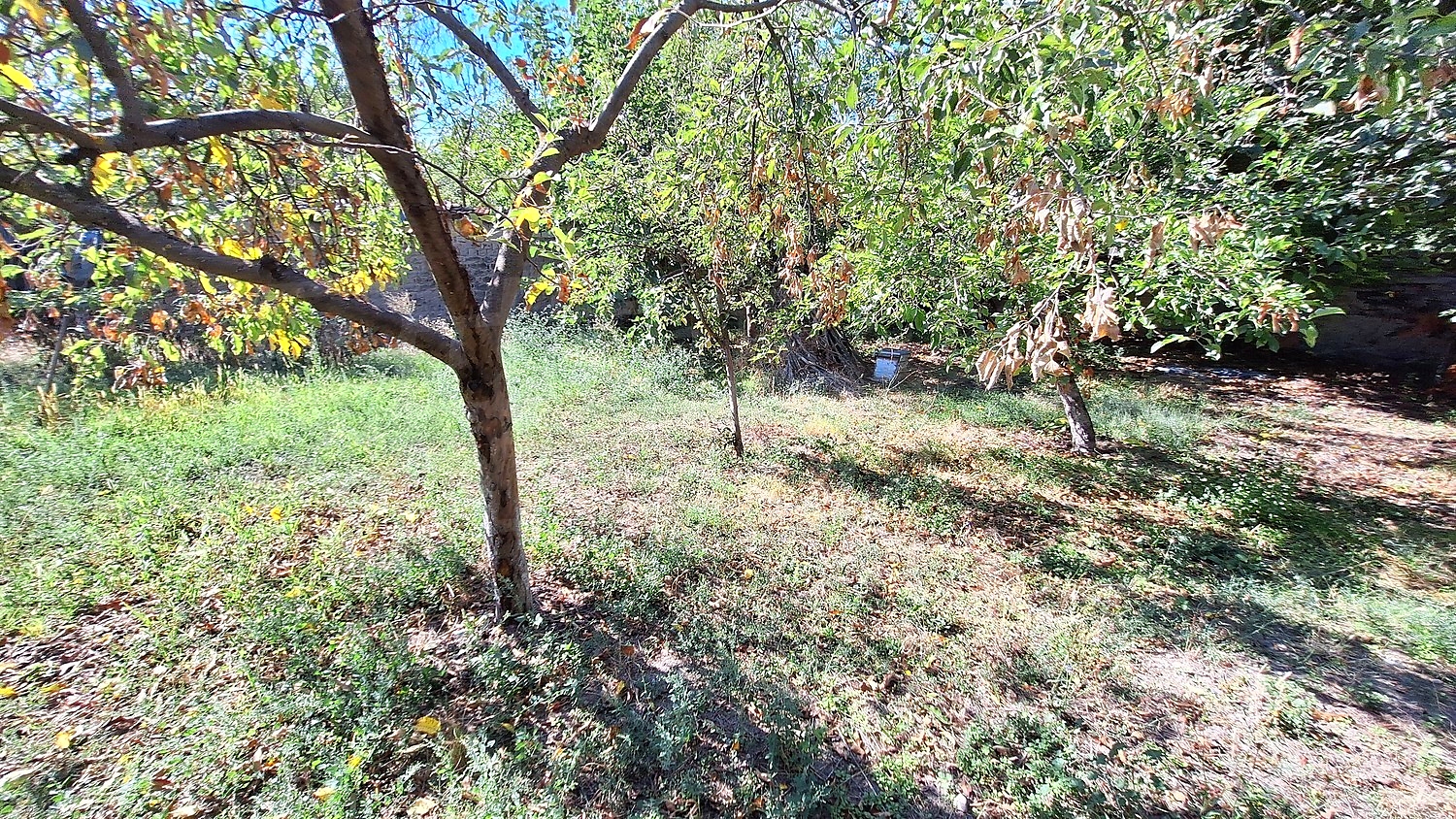 Gallery Picture 23