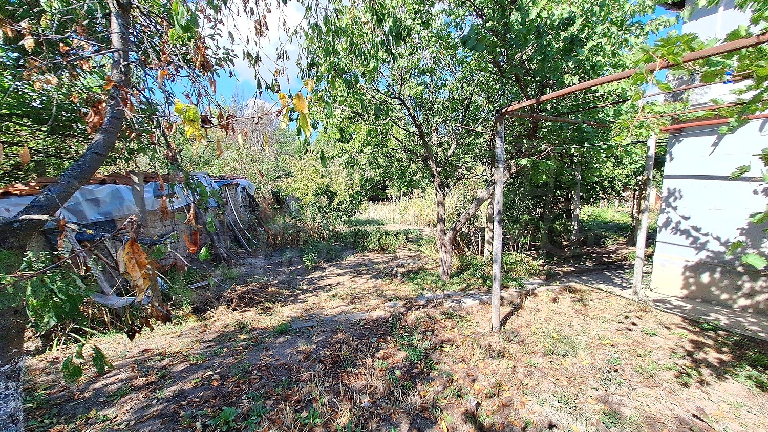 Gallery Picture 18