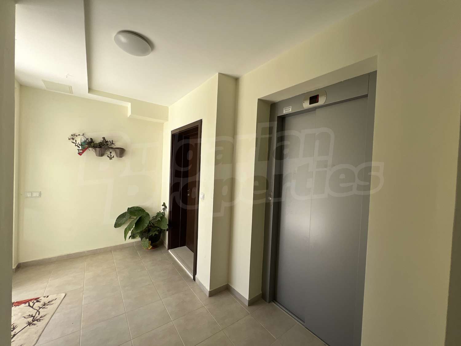 Gallery Picture 15