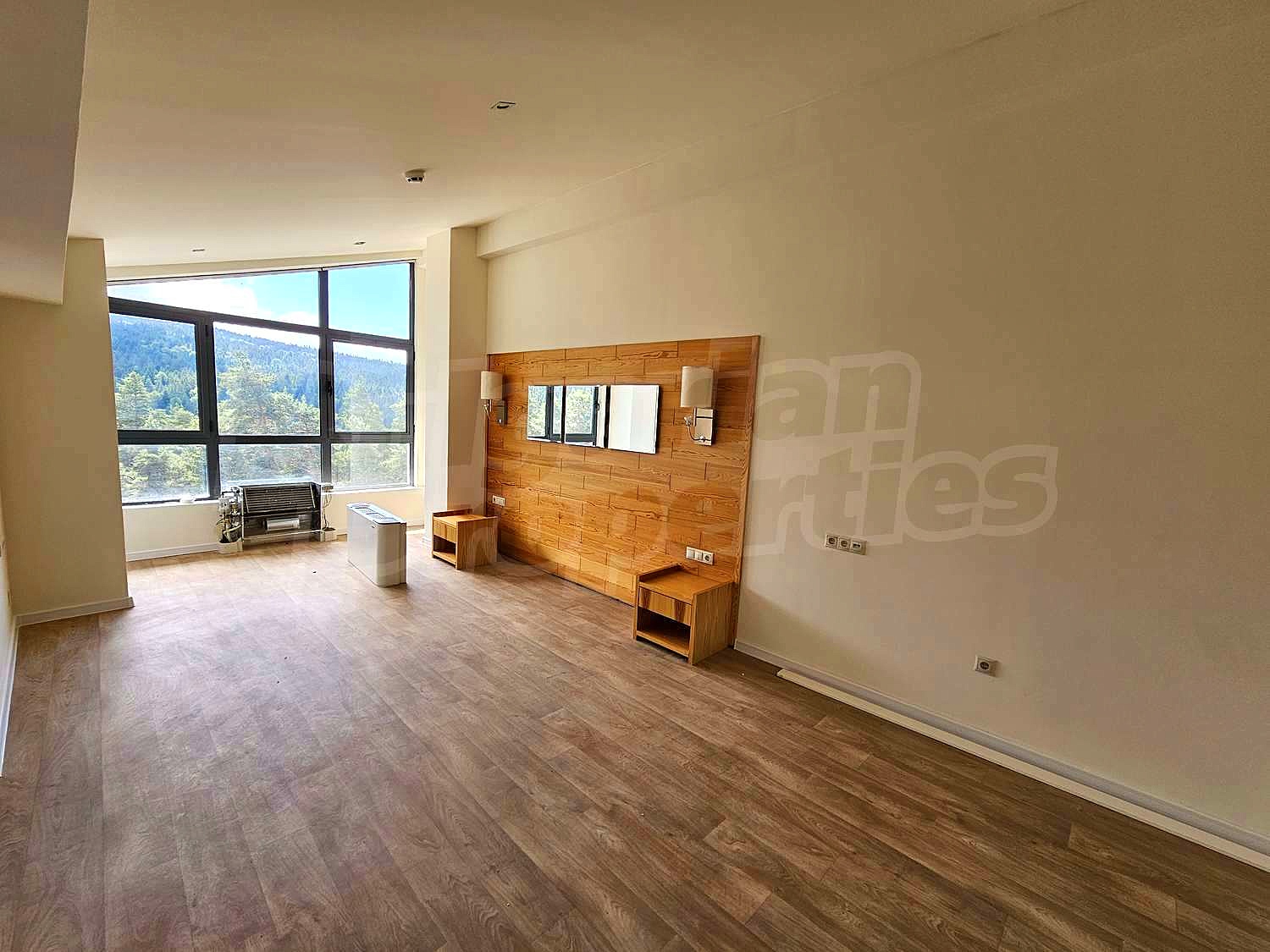 Gallery Picture 62
