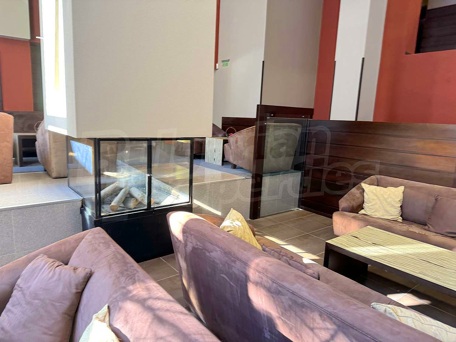 Gallery Picture 36