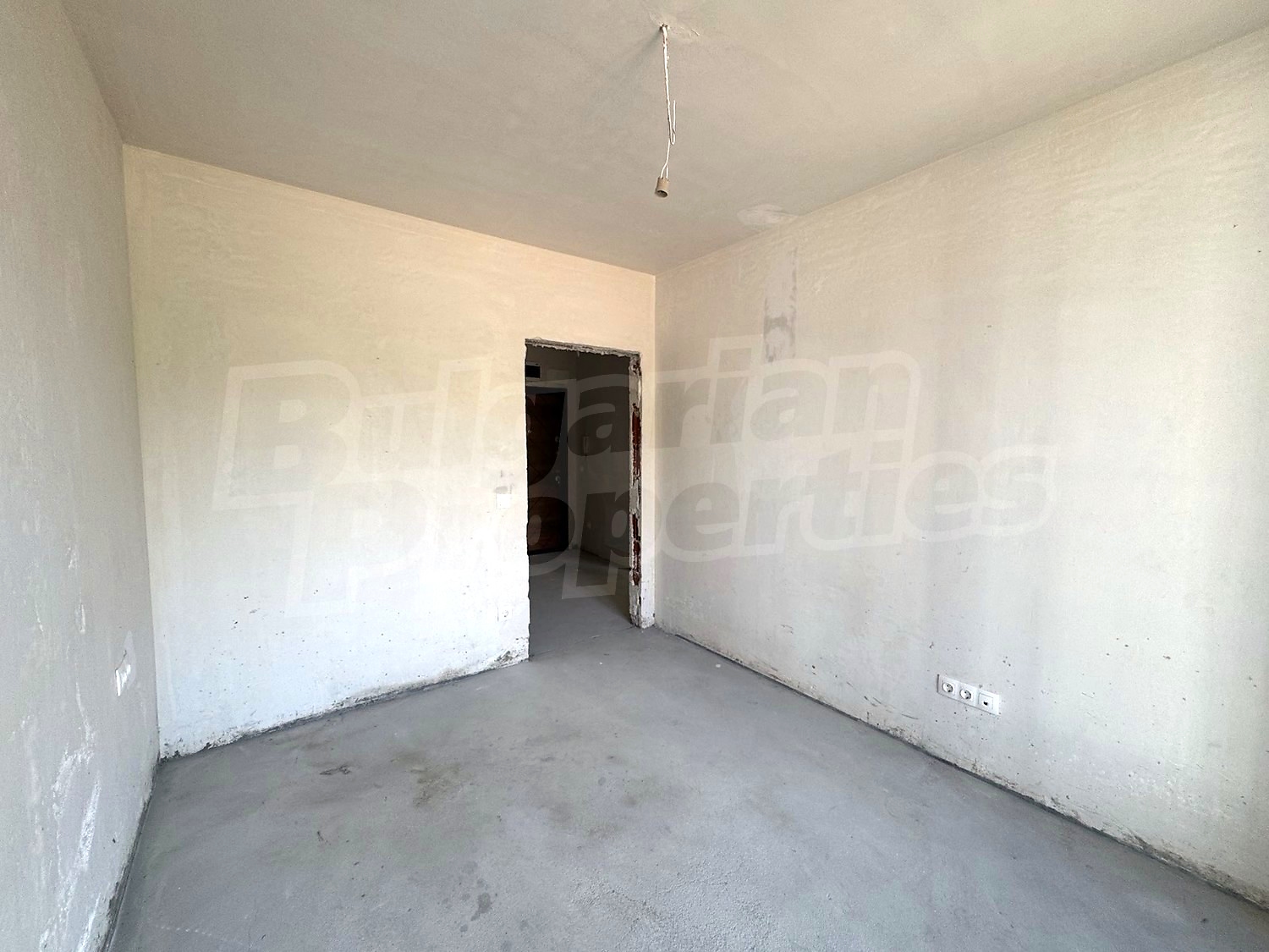 Gallery Picture 16