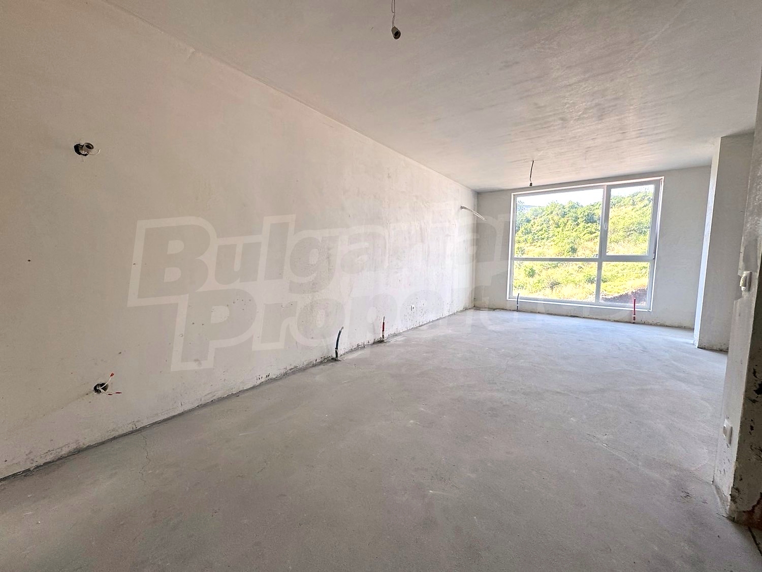 Gallery Picture 5