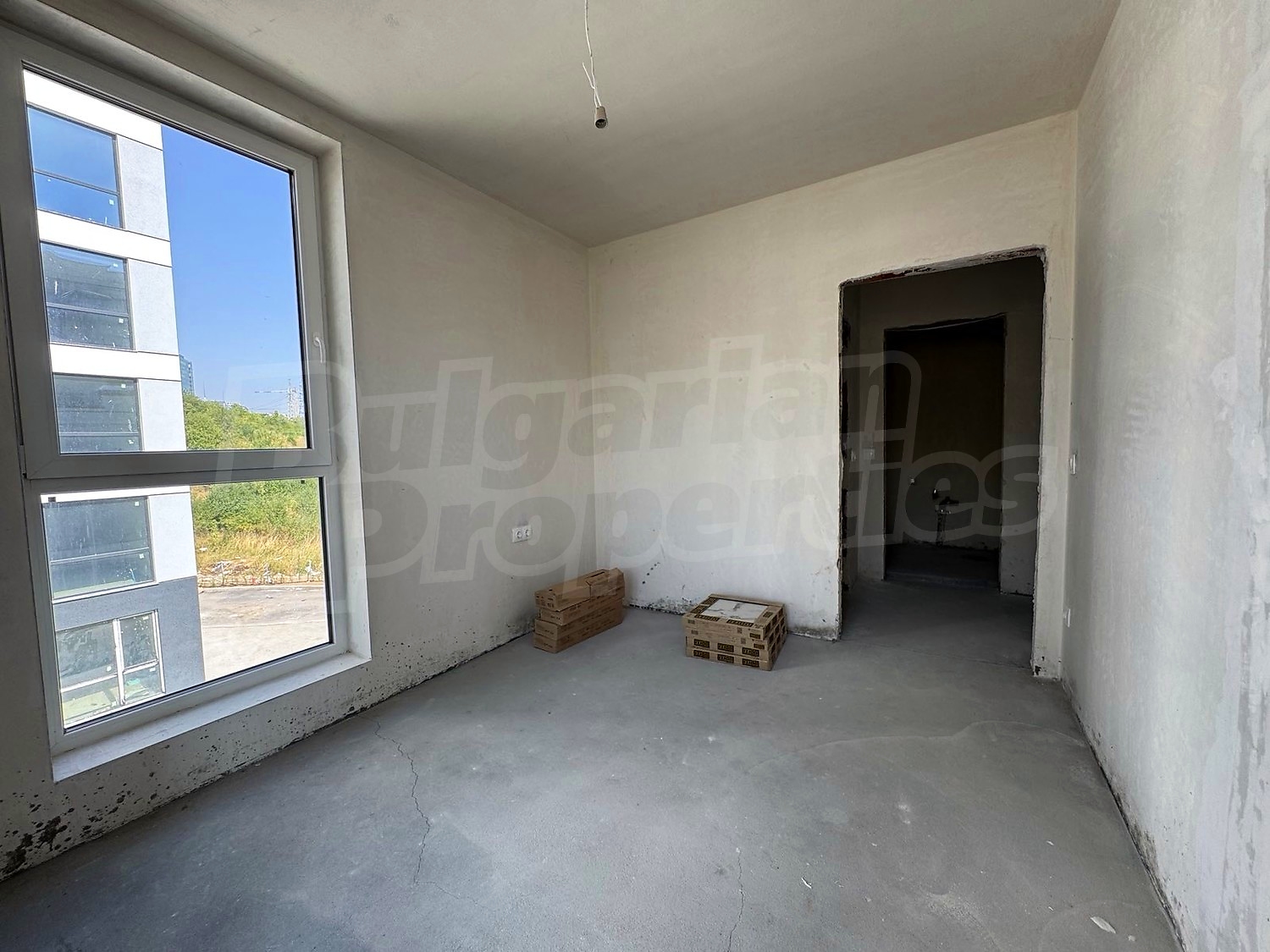 Gallery Picture 29