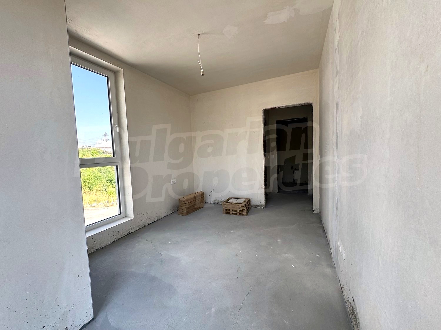 Gallery Picture 38