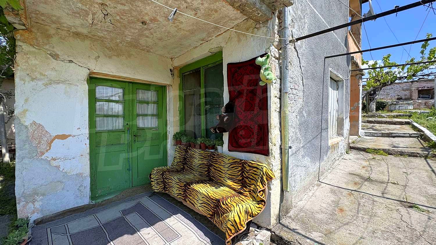 Gallery Picture 19