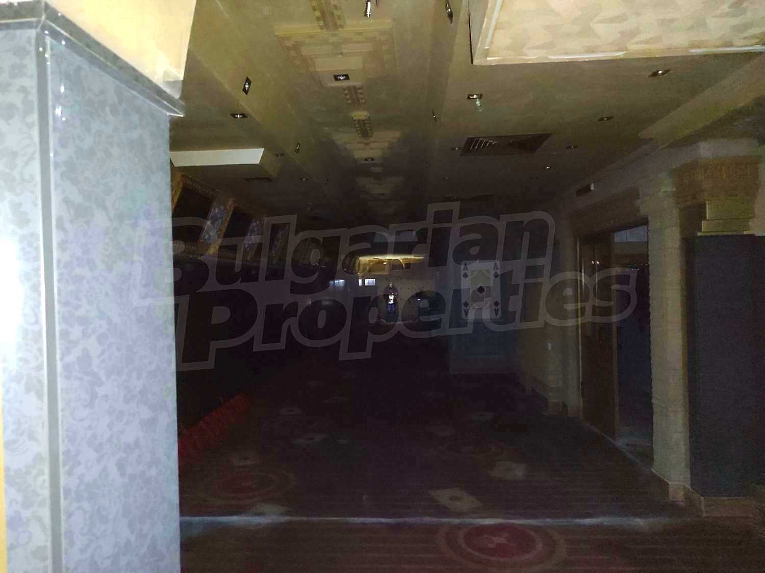 Gallery Picture 11