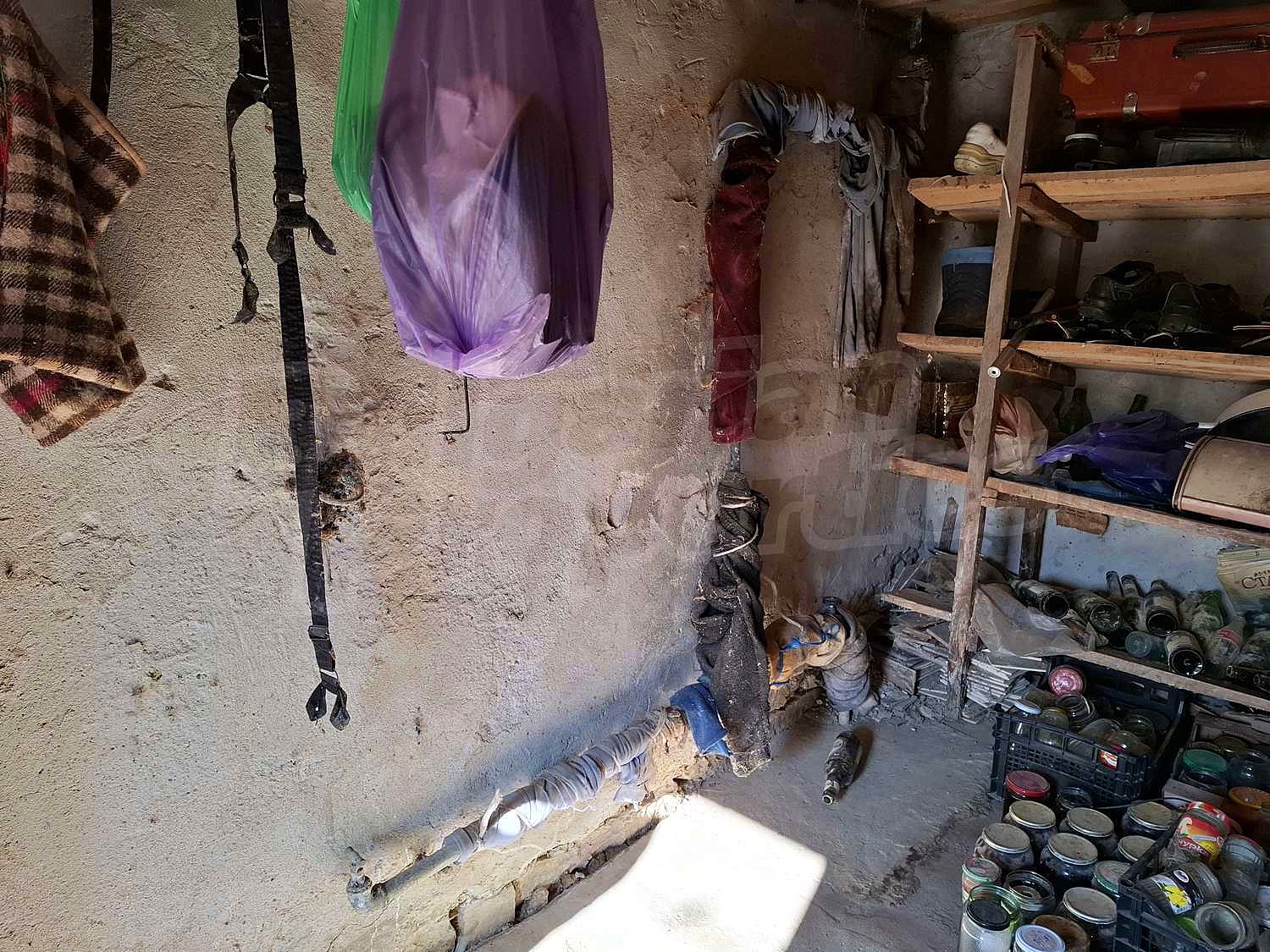 Gallery Picture 16