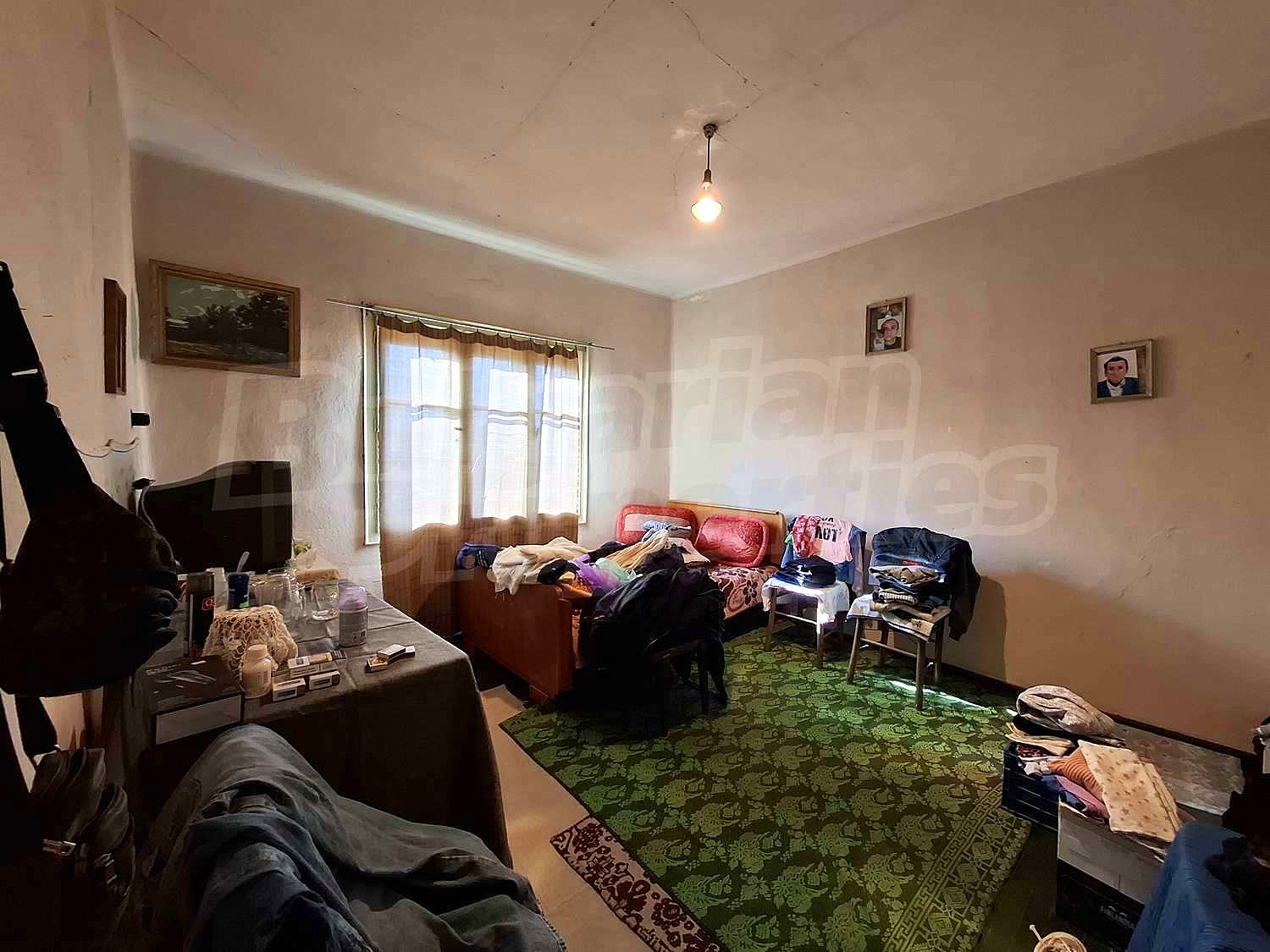 Gallery Picture 15