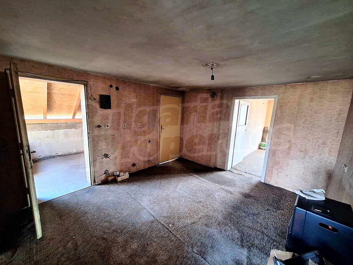 Gallery Picture 15