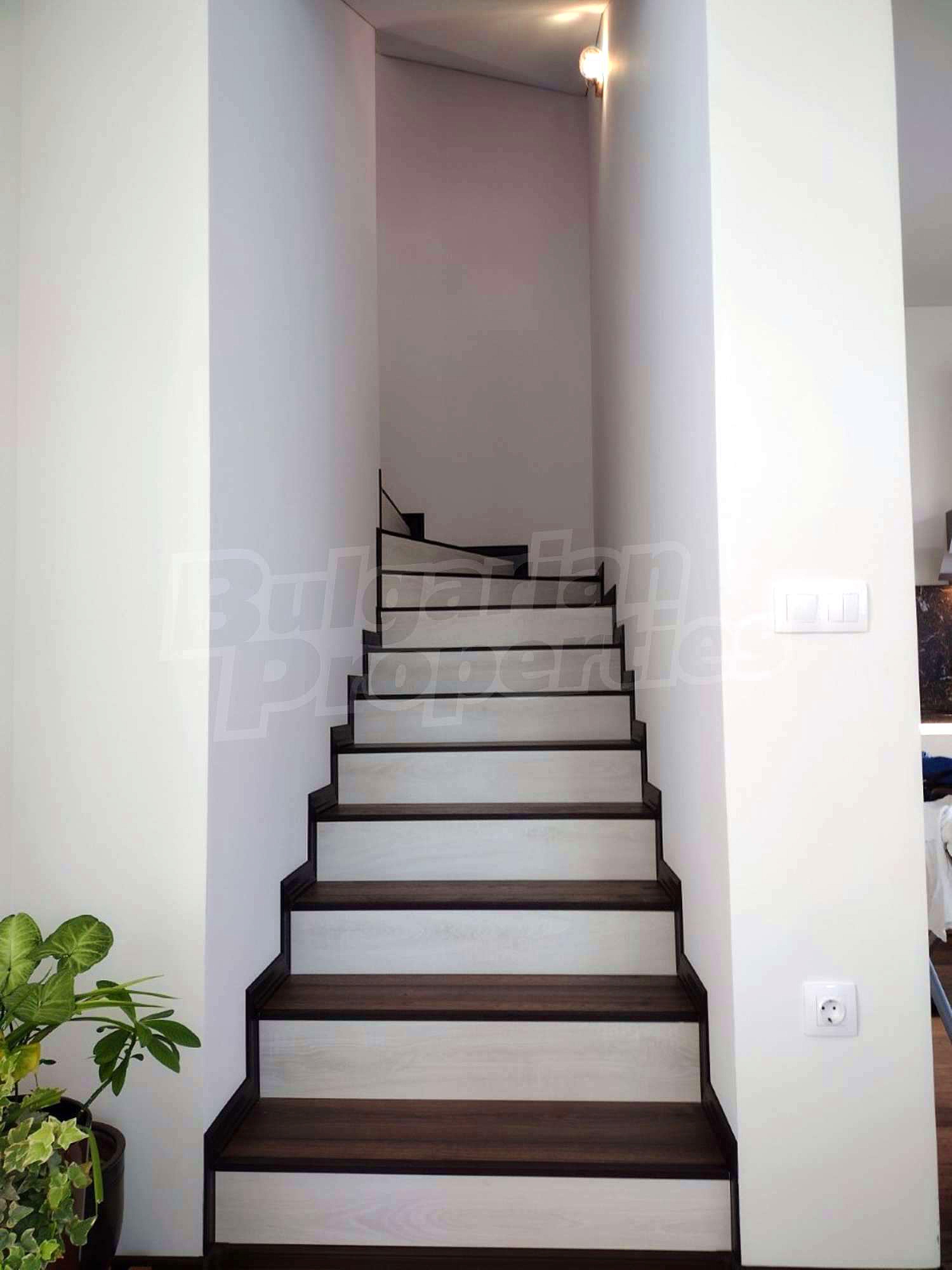 Gallery Picture 16