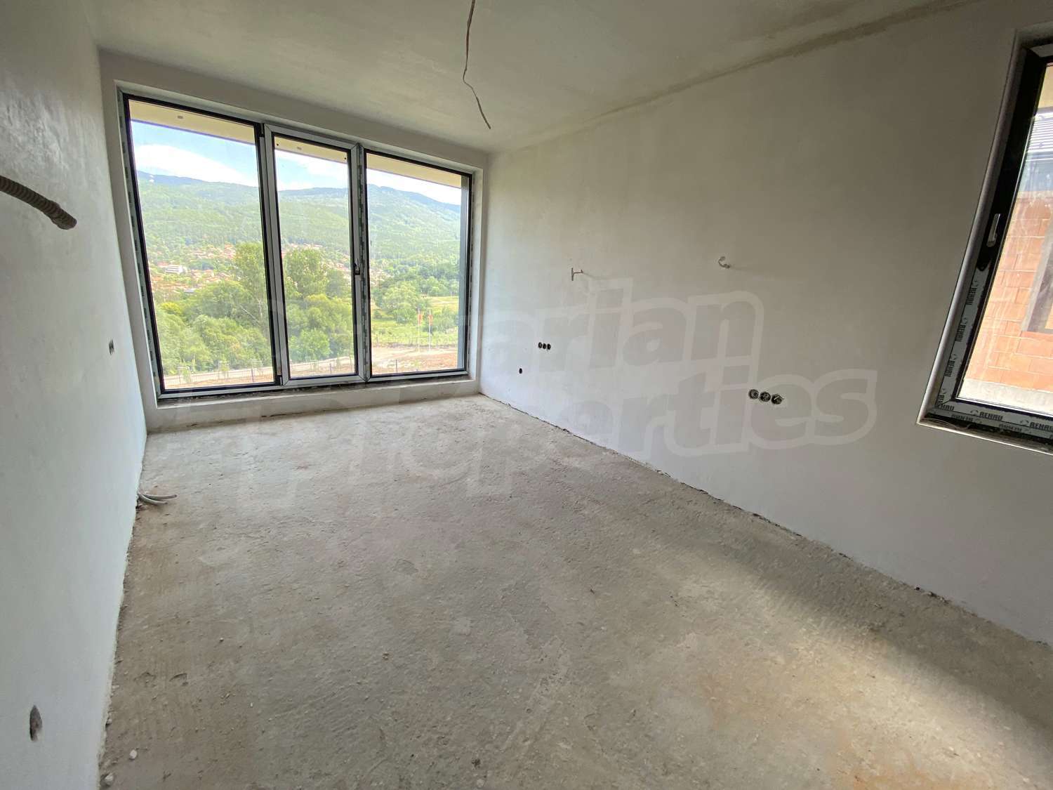 Gallery Picture 31