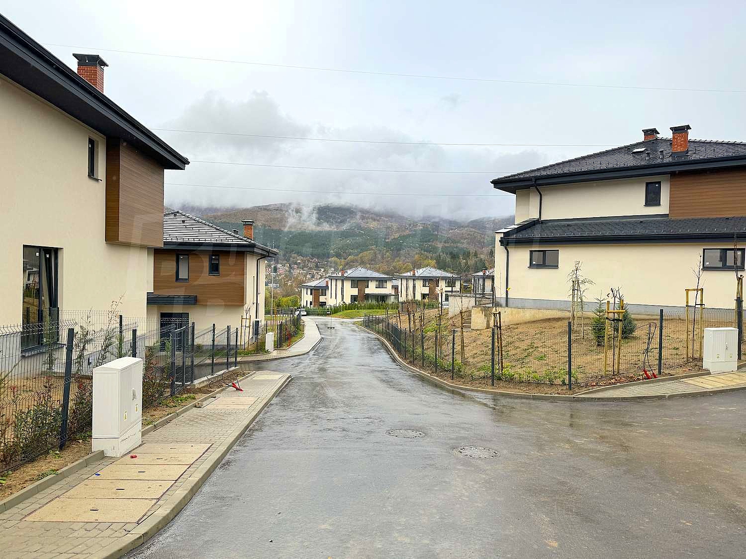 Gallery Picture 23