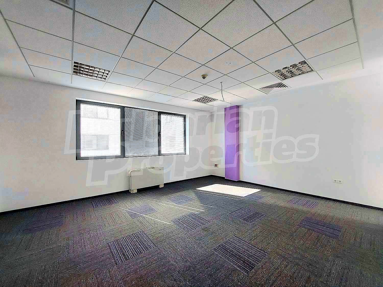 Gallery Picture 14