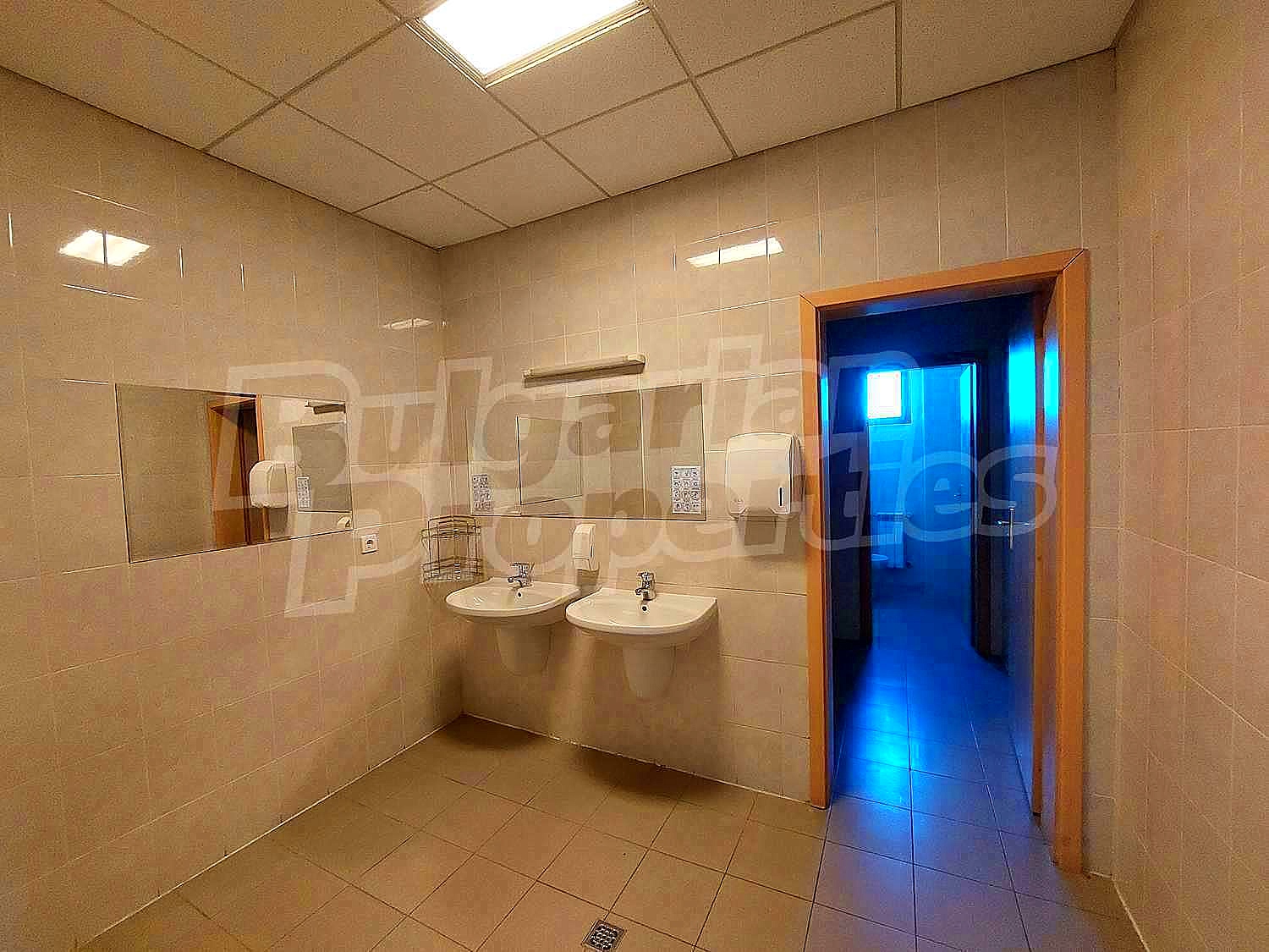 Gallery Picture 17