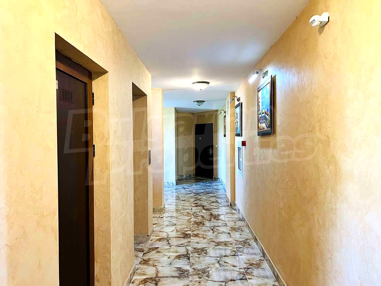 Gallery Picture 17