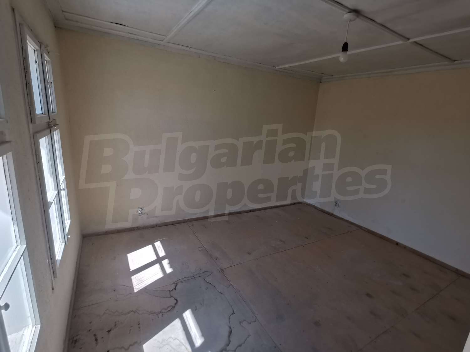 Gallery Picture 15