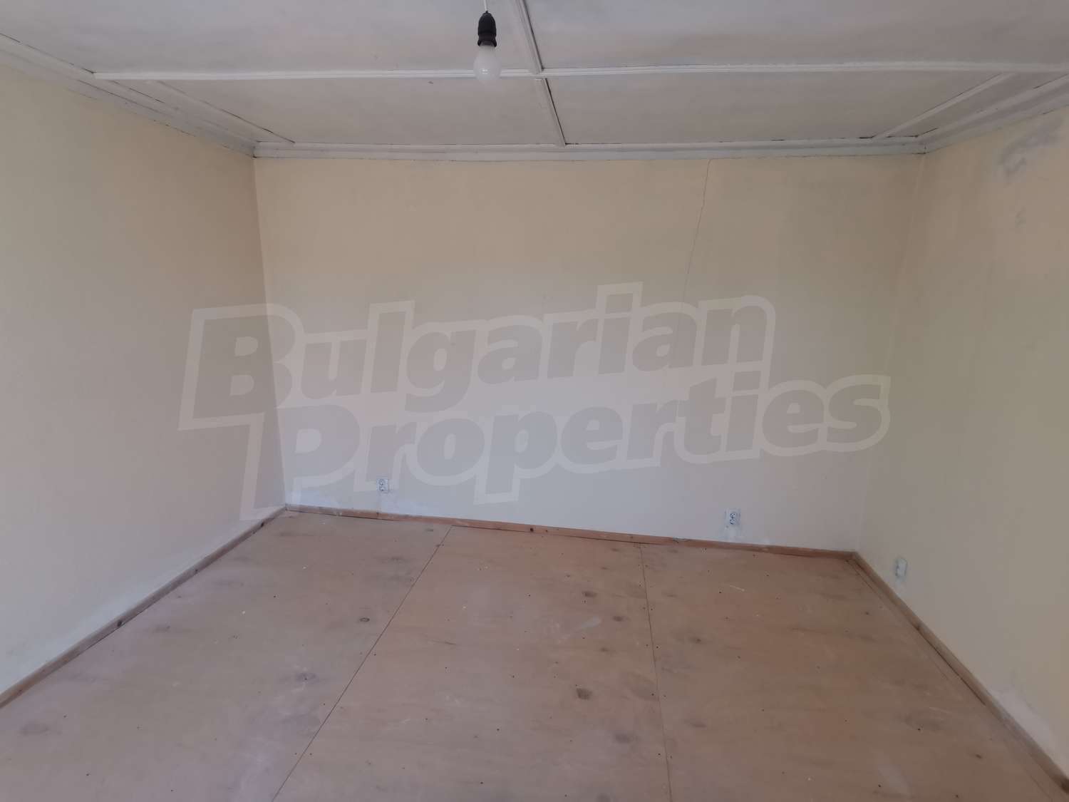Gallery Picture 16