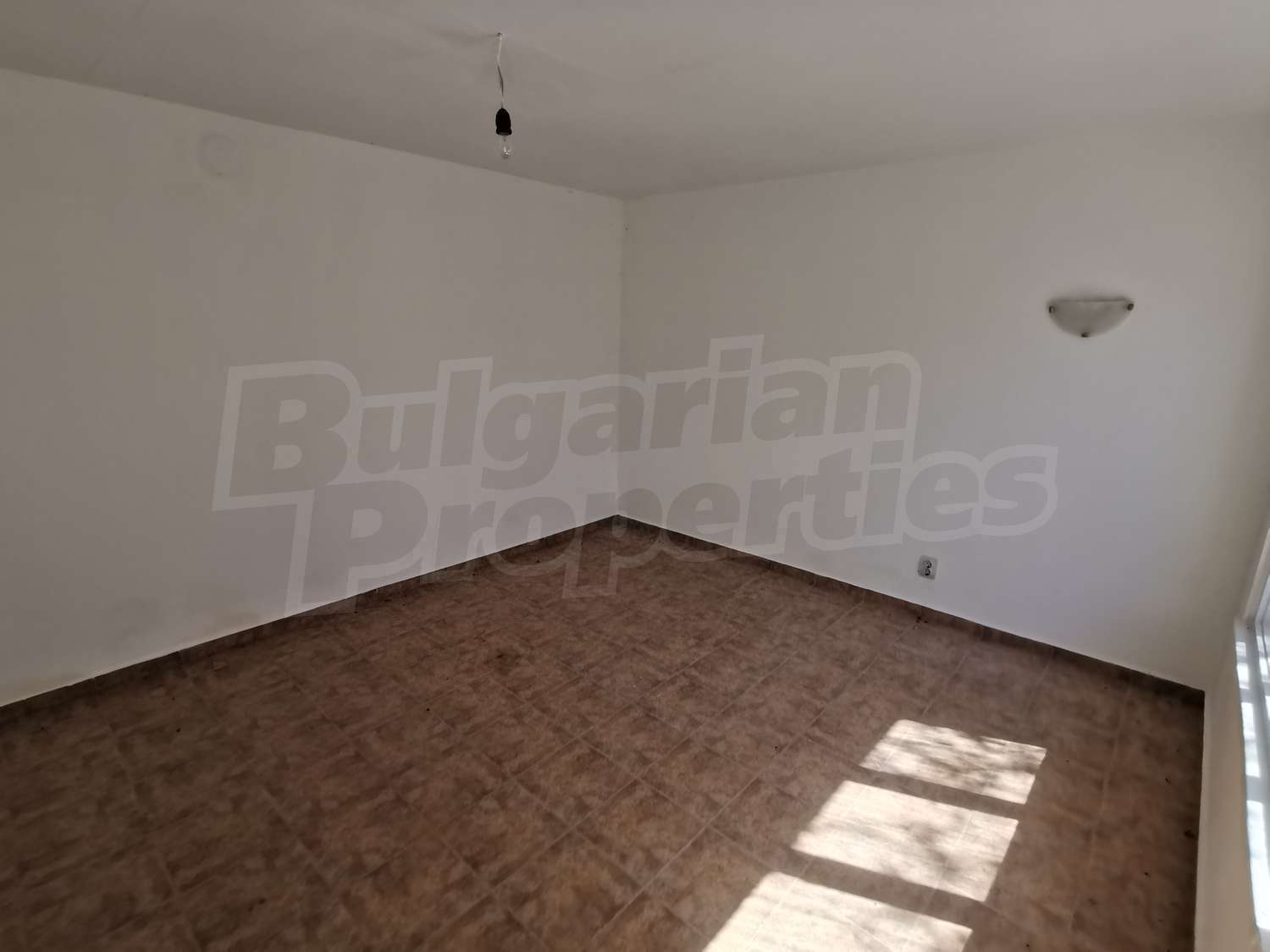 Gallery Picture 18