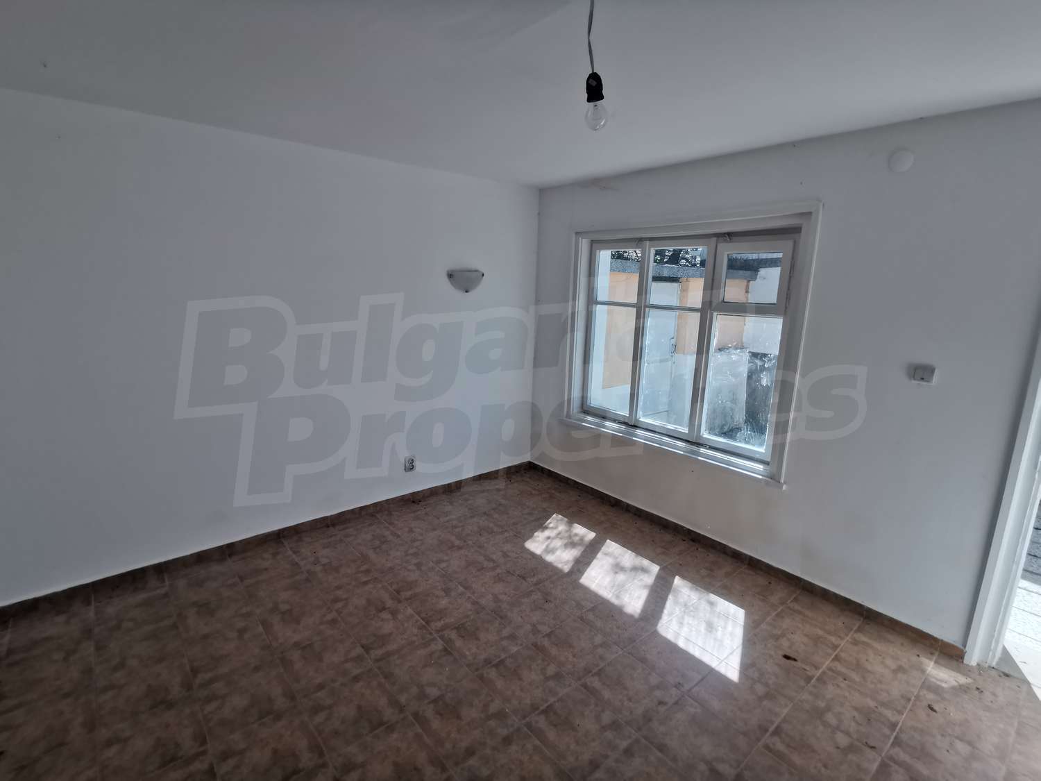 Gallery Picture 19