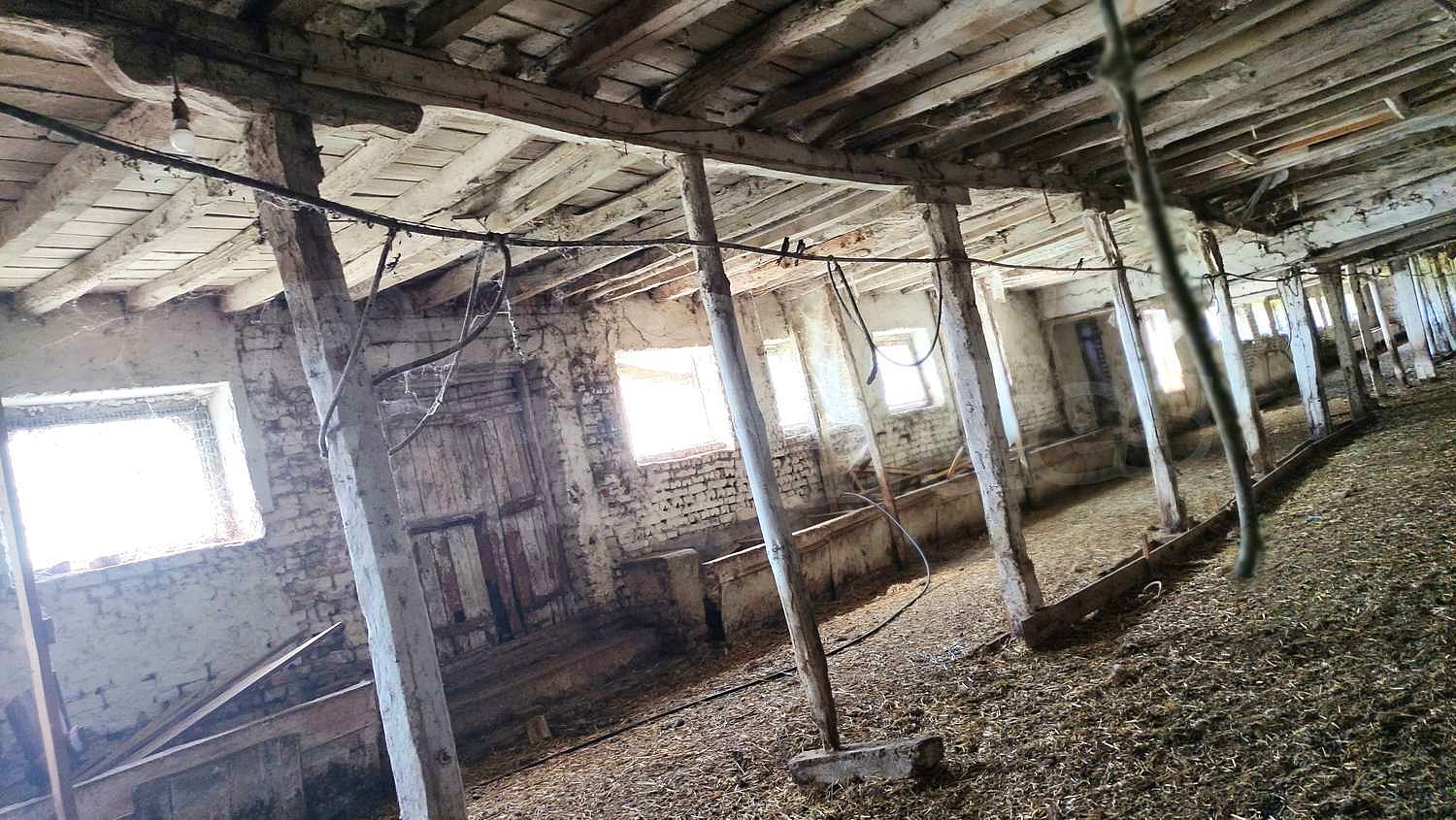 Gallery Picture 6