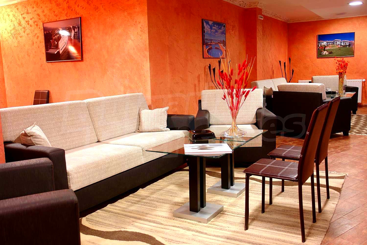 Gallery Picture 19