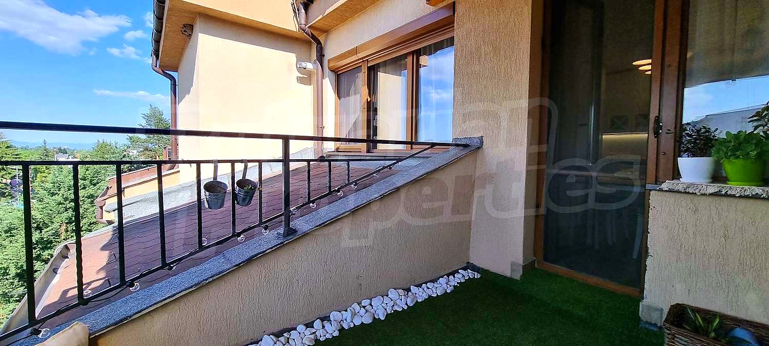Gallery Picture 24