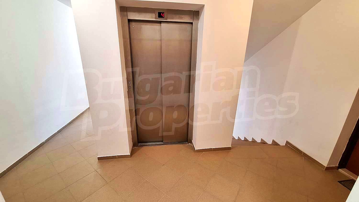 Gallery Picture 27