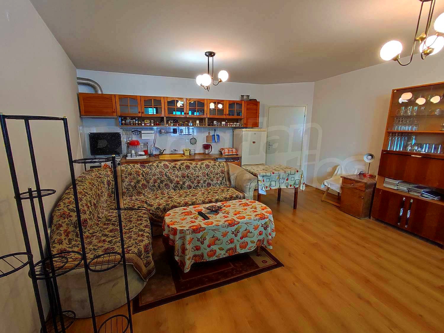 Gallery Picture 17