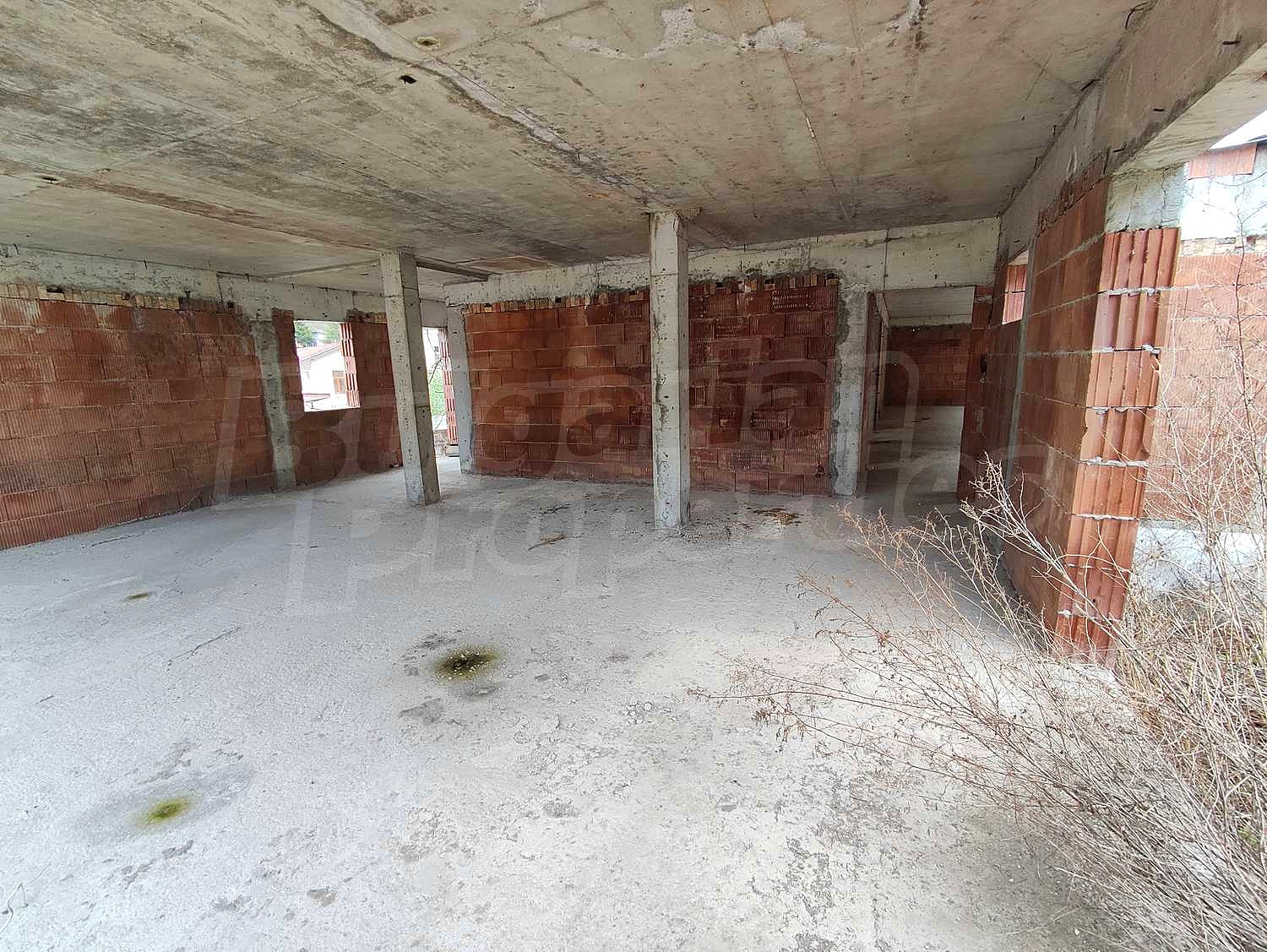 Gallery Picture 16