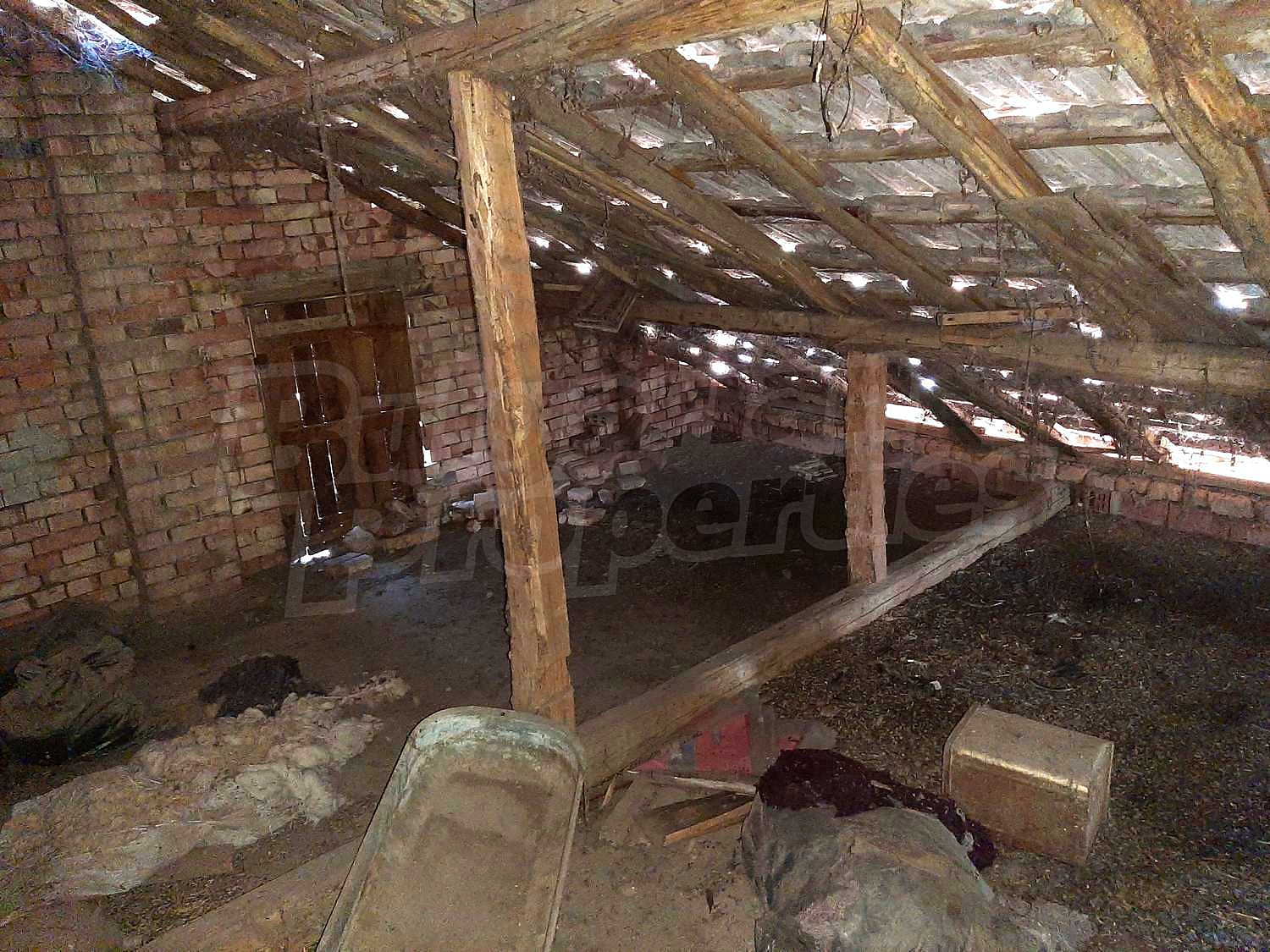 Gallery Picture 19