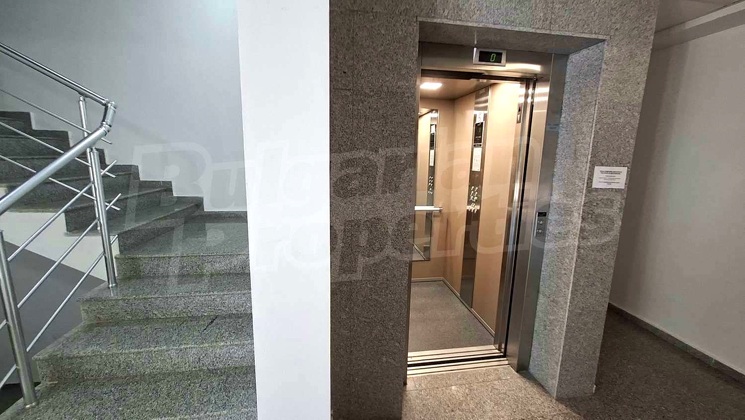 Gallery Picture 10