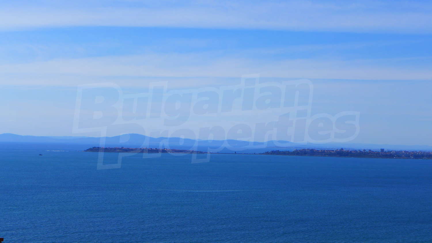 Gallery Picture 14