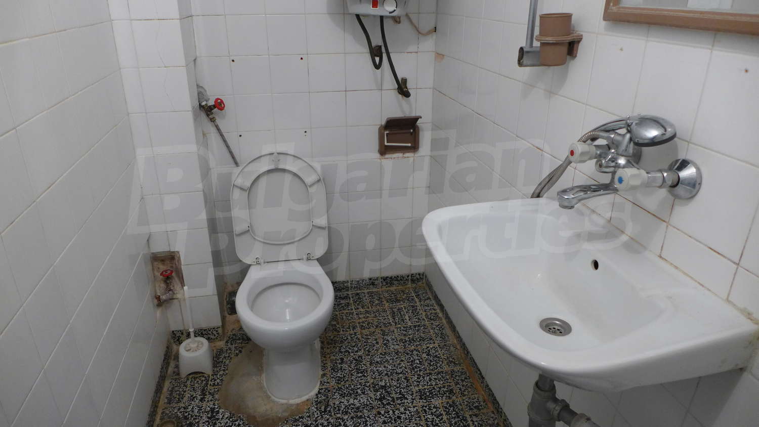 Gallery Picture 19