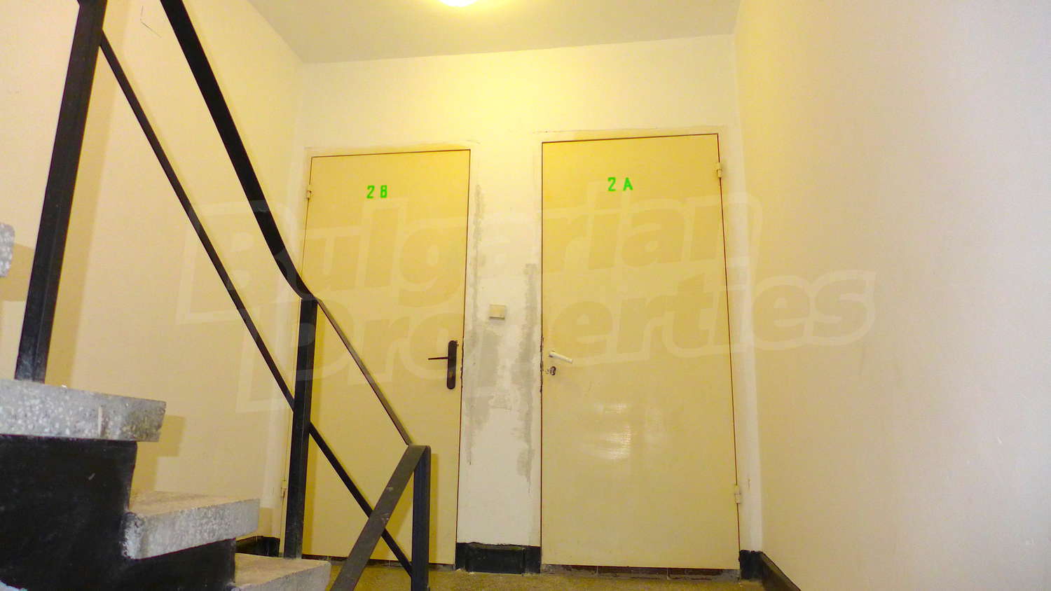 Gallery Picture 31