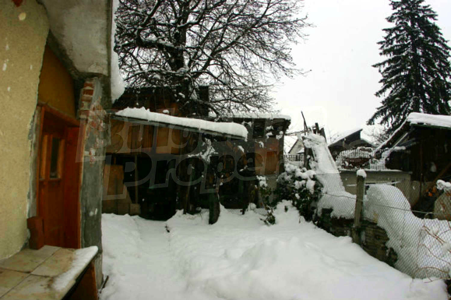 Gallery Picture 19