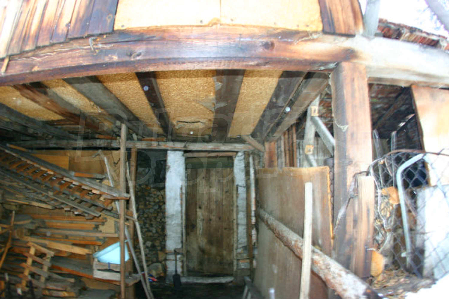 Gallery Picture 22