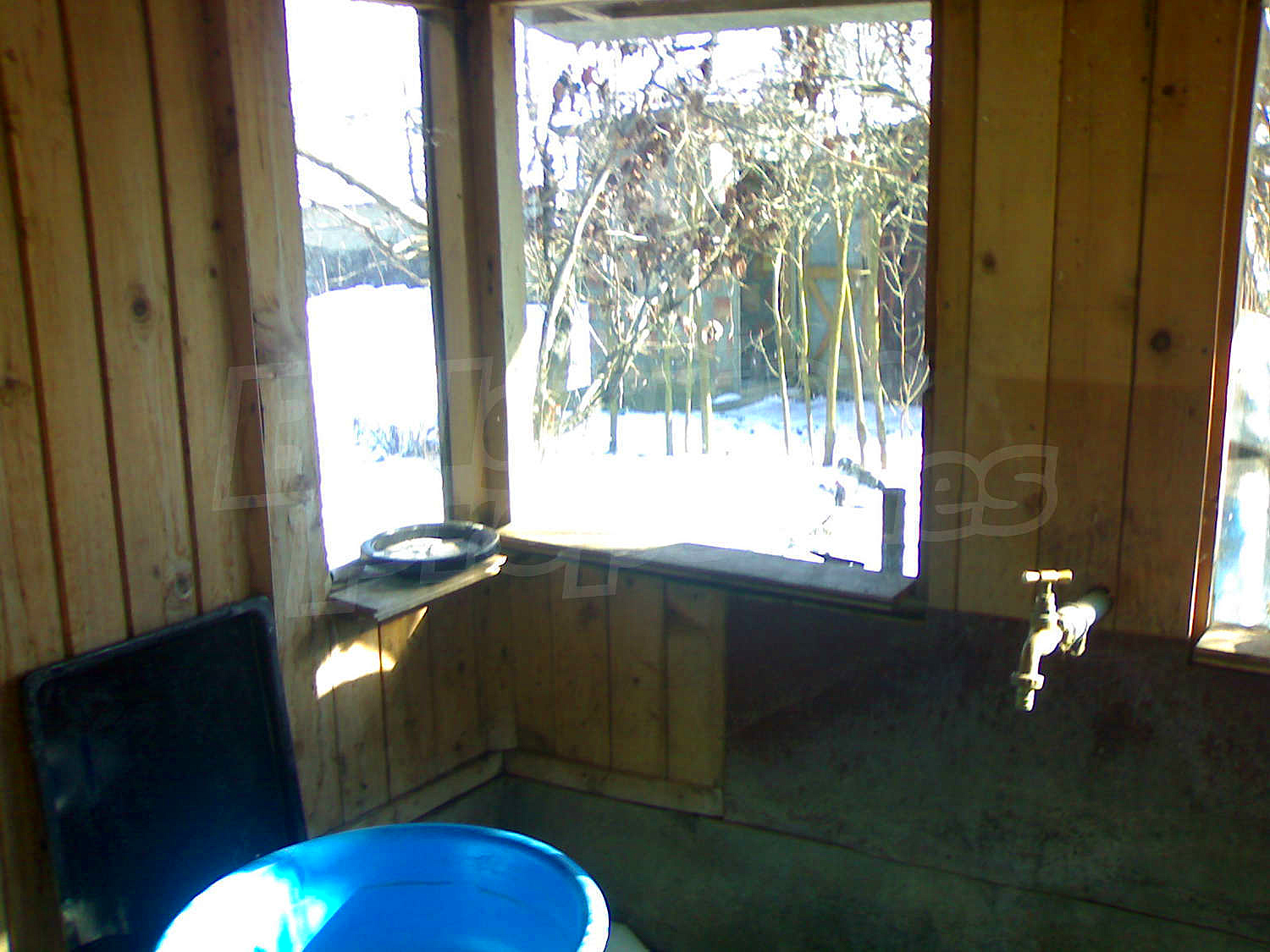 Gallery Picture 23
