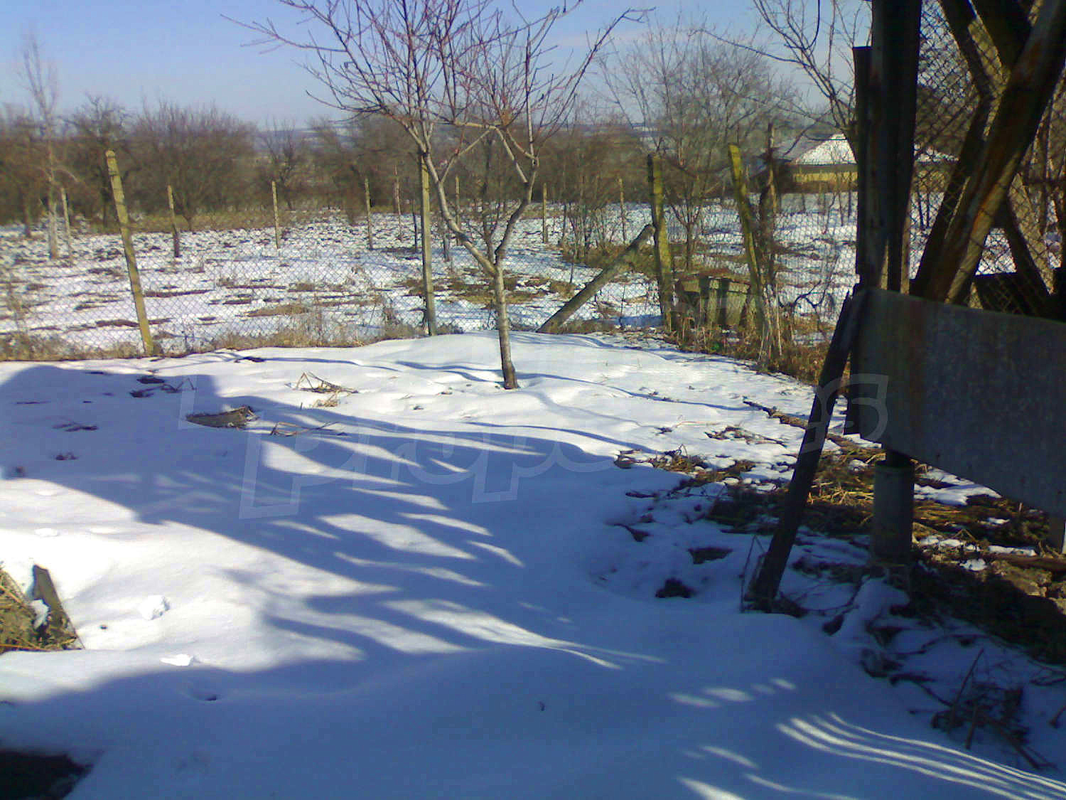 Gallery Picture 25