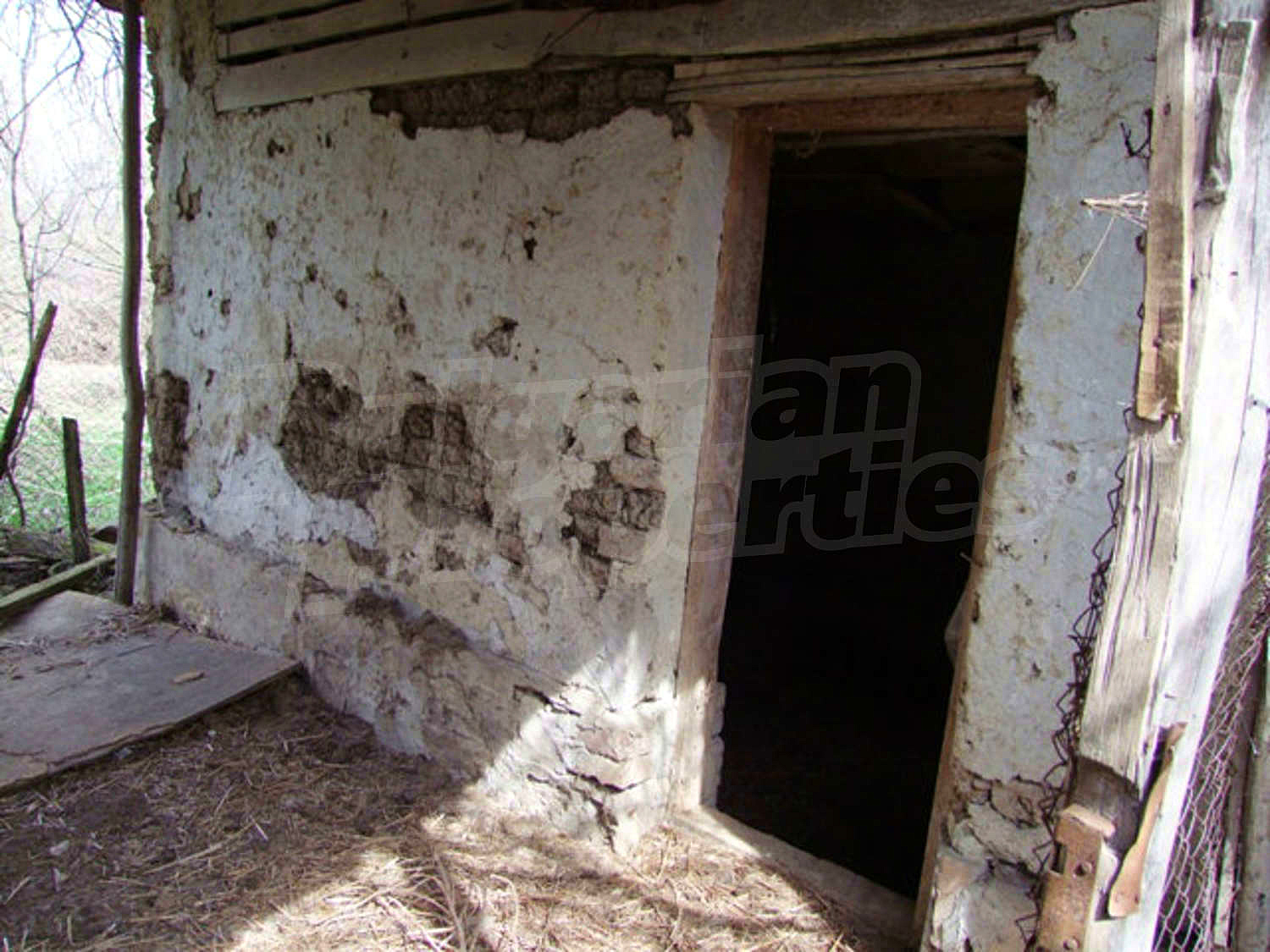 Gallery Picture 28