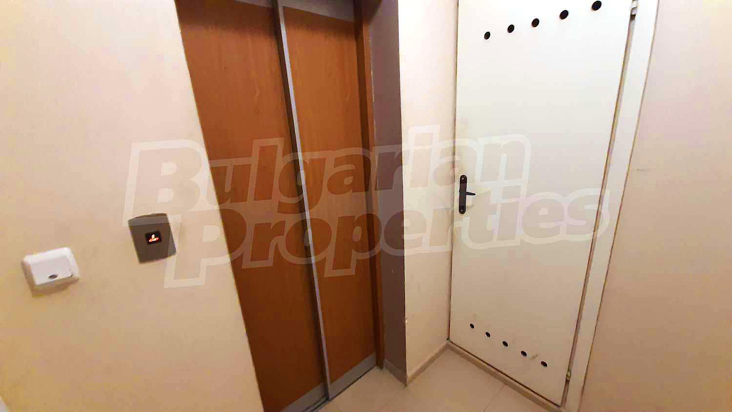 Gallery Picture 29