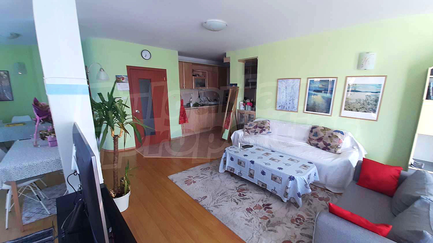 Gallery Picture 19