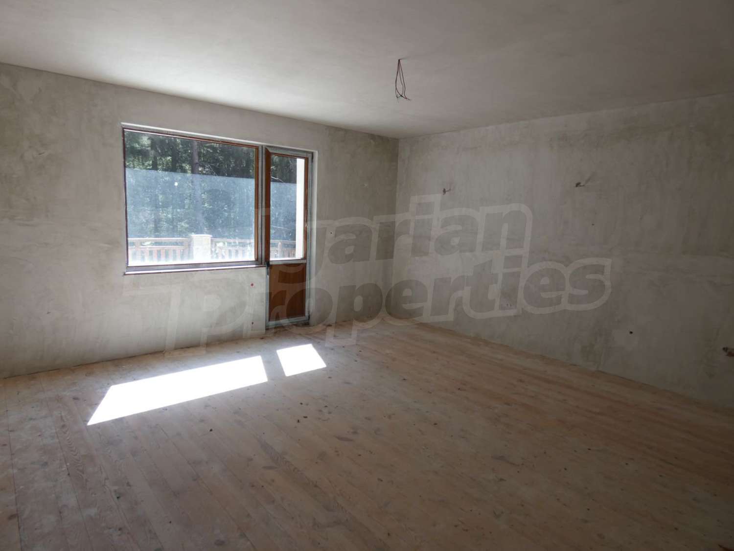 Gallery Picture 12