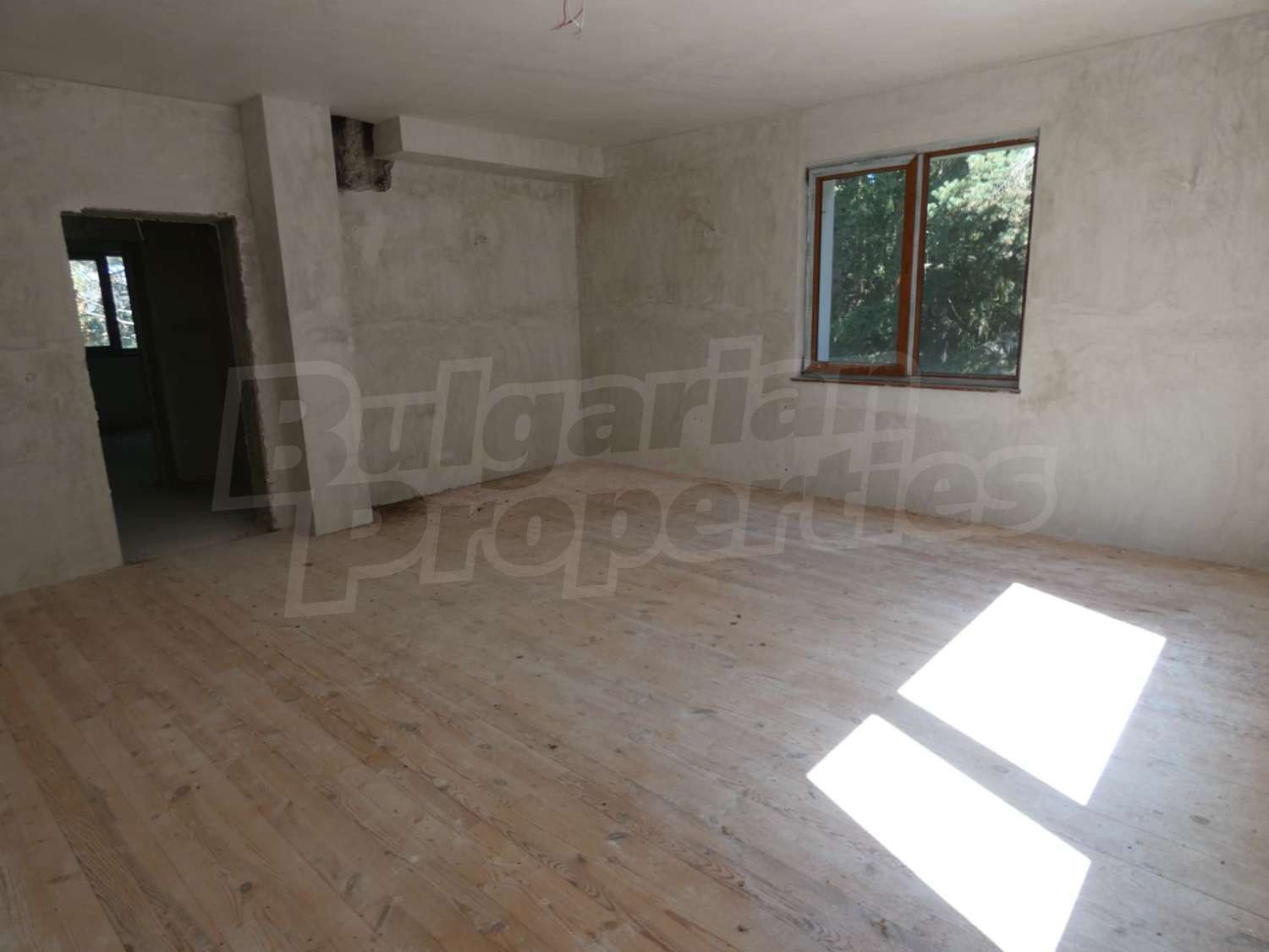 Gallery Picture 13