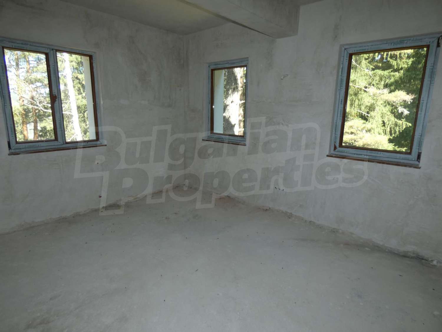 Gallery Picture 20
