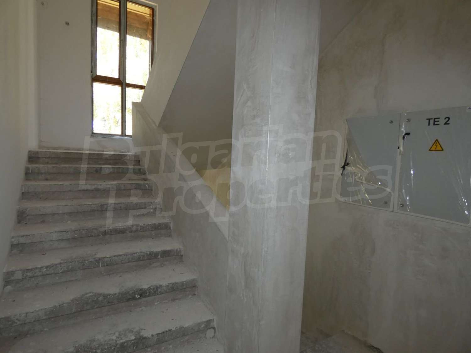 Gallery Picture 23