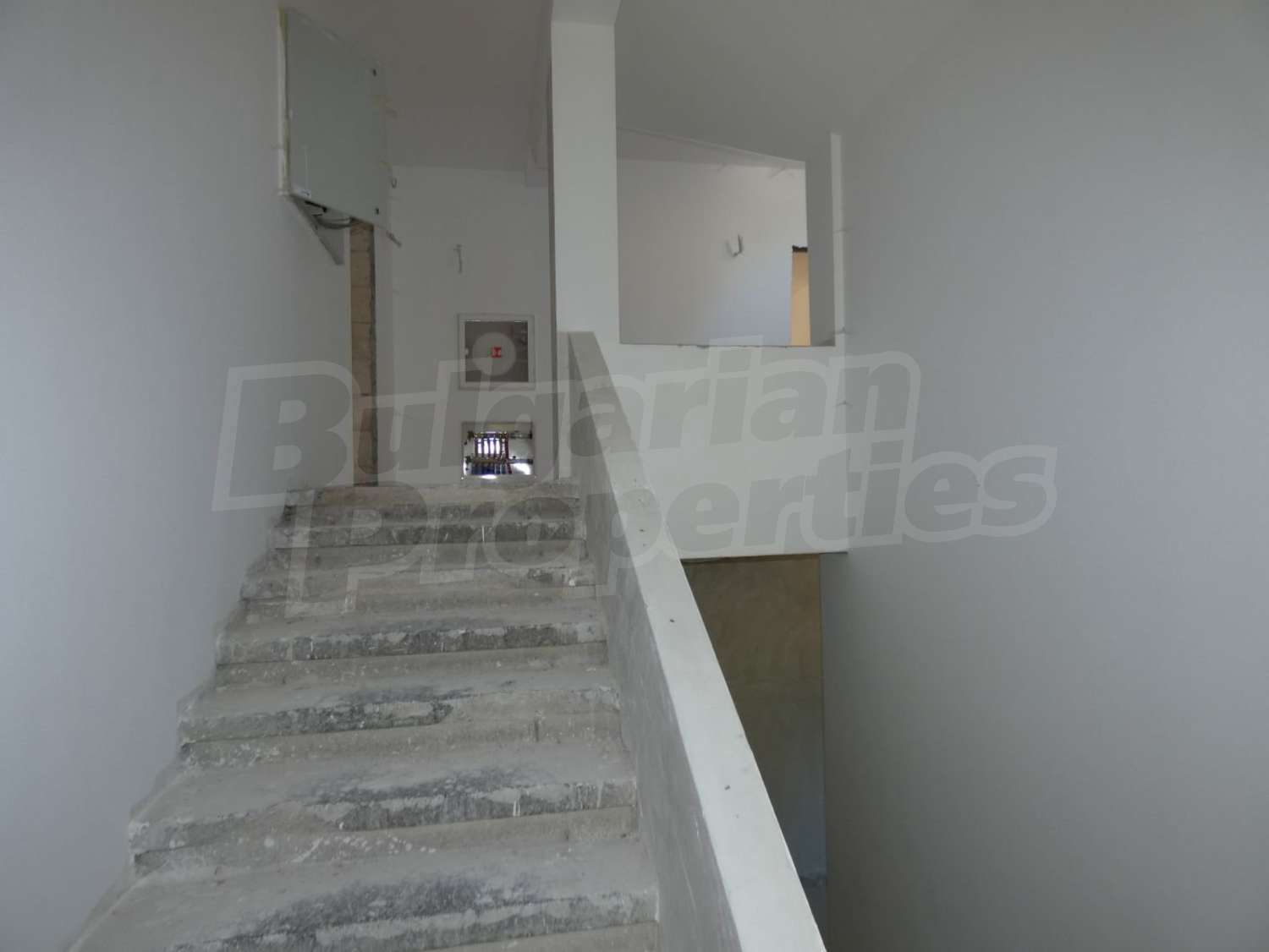 Gallery Picture 24