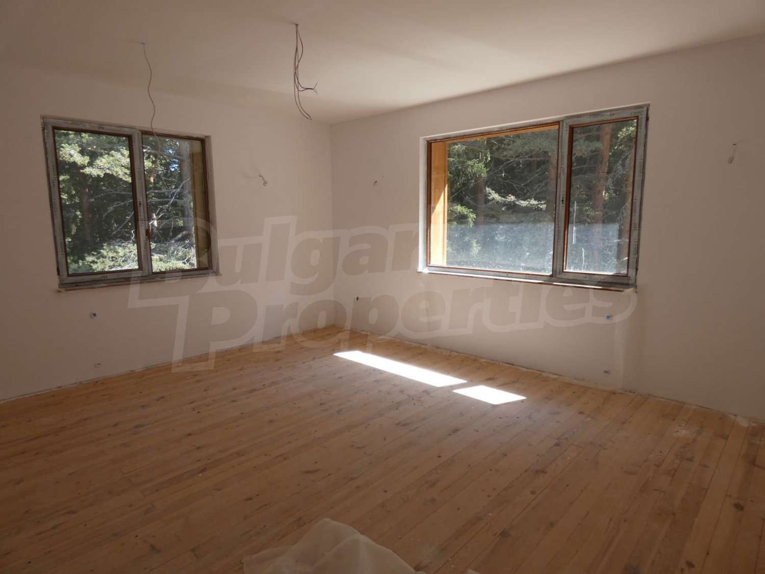 Gallery Picture 26